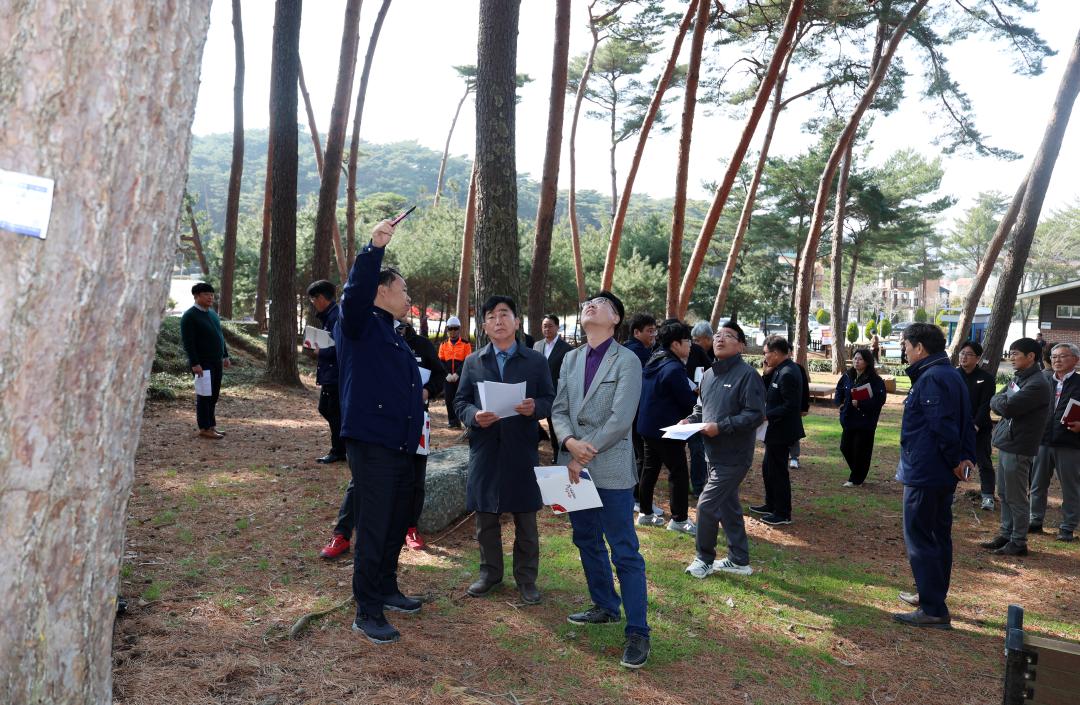 '제358회 임시회 보건복지환경위원회 현장방문' 게시글의 사진(166) '0415_안면도 수목원 현장방문22.jpg'