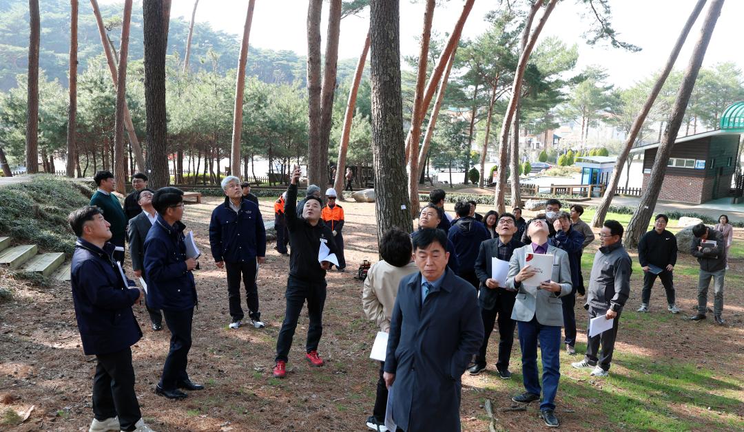 '제358회 임시회 보건복지환경위원회 현장방문' 게시글의 사진(167) '0415_안면도 수목원 현장방문23.jpg'