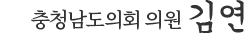 김연